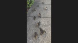 Me peeking around the corner to see what they were doing they're looking at me