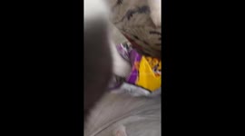 Cat digs into Cheetos bag and walks off with a snack in Metepec, Mexico