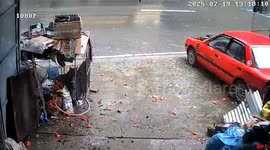 Pet dog survives 30 tonne boulder crashing onto family's driveway