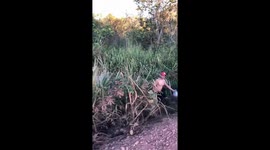 Donkey brays after man and woman tumble into grassfield in Manaus, Brazil