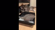 temp
