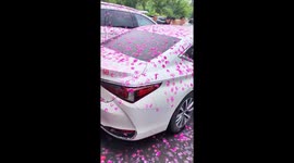 Vehicles stained by wet pink flower petals in Heilongjiang, China