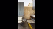 temp