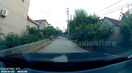 Child on bicycle blocks road and cries until grandma rescues in Shandong, China