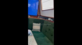 This is what happens when a dog gets 'zoomies' on a boat