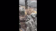 temp
