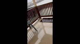 Backyard Flooded in Texas Storm