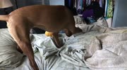 temp