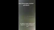 temp