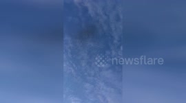 US: Giant Mosquito Swarm Takes Over Lakeside In Scott County, Minnesota