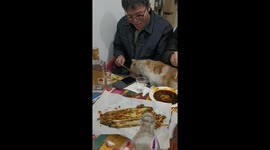 The Tabby Eats Barbecue