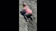 temp