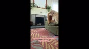 temp