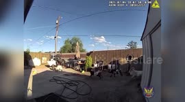 US: Goofy Goat Herd Crashes Family’s Yard On Fourth Of July