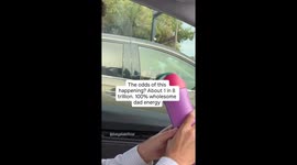 Peak adult happiness was achieved, and I’m just here to document the magic