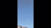 temp