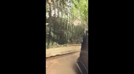 Suspect caught on CCTV 'smashing car window to steal bag' in London