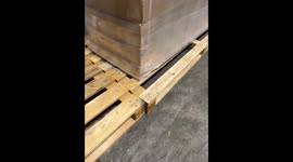 Alternative Way to Catch a Fly