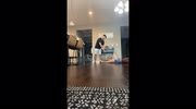 temp