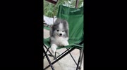 temp