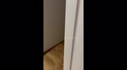 temp