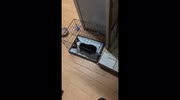 temp