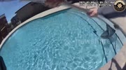 temp