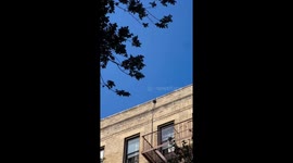 Video of possible UFO sighting. Round shiny object over Inwood New York at fast speed and sharp turn during daytime.