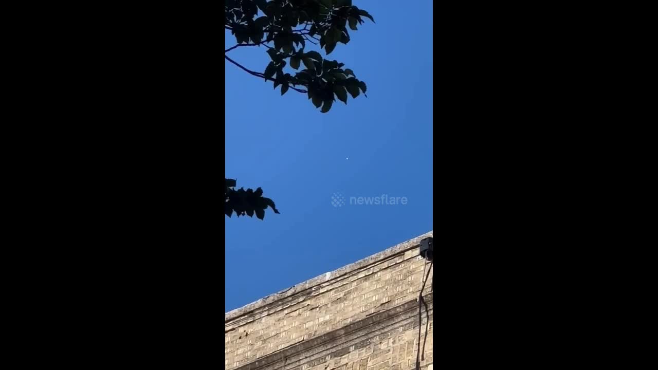 text