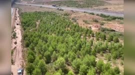 Spain: Spanish Civil Guard Air Survey Reveals Massive Hidden Marijuana Plantation in Rioja
