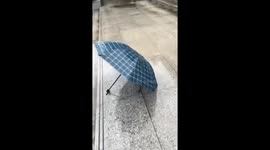 Cat Under Umbrella