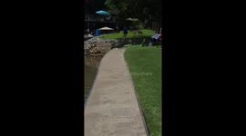 Water Car Floats And Drives Away