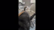 temp