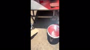 temp