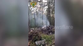 All dead after Russian plane crashes in Far East region, wreckage found
