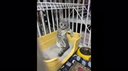 temp
