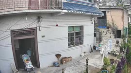 Energetic dog entertains baby while older companion watches in Guizhou, China