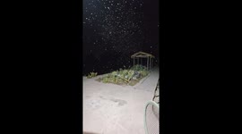 Man zaps swarm of insects with electric fly swatter in Shanghai, China