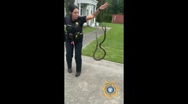 Deputy Relocates Rat Snake Found Inside Chicken Coop