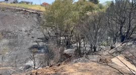Greece: Wildfire damages several houses in Krioneri near Greece's Athens