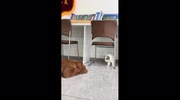 temp
