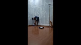 Naughty cat pushes paint roller onto man as he redecorates