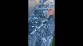 Backyard trampoline turns 