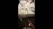 temp