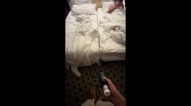 Spinning bottle lands perfectly on bed header in Granada, Spain