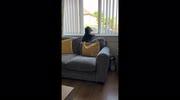 temp