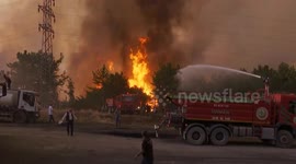Türkiye: Firefighters battle forest fire in Türkiye’s northern city of Karabuk (2)
