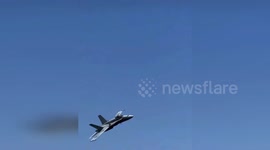 Spain: F-18 Pilot Almost Crashed During Bird Encounter But Saved Airshow