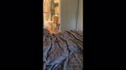 temp