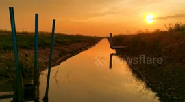 Stunning evening views around the rice fields